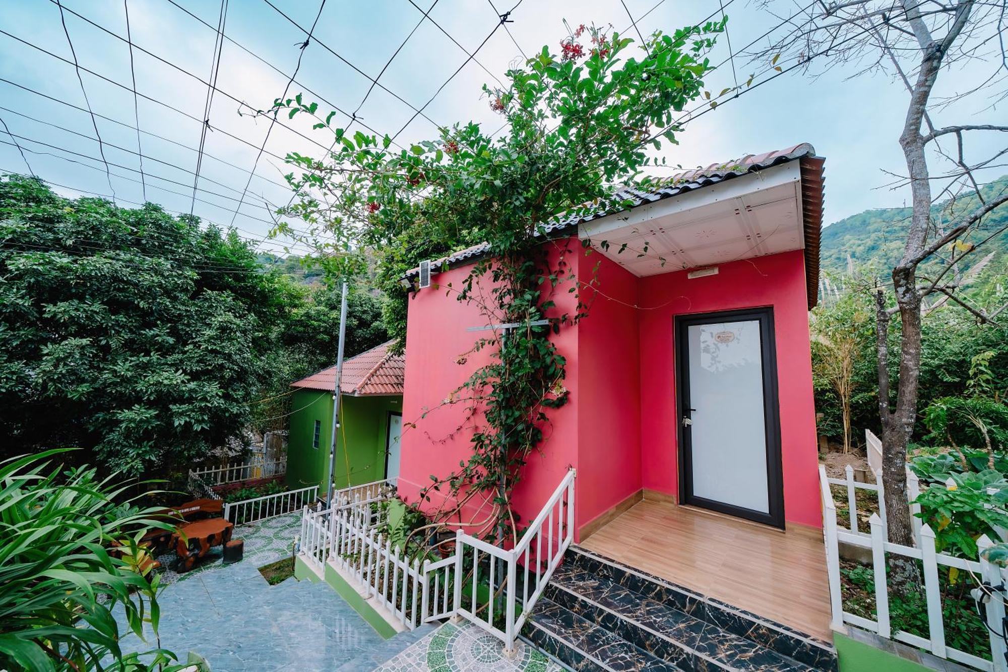 Windy Homestay Cat Ba Island Zewnętrze zdjęcie