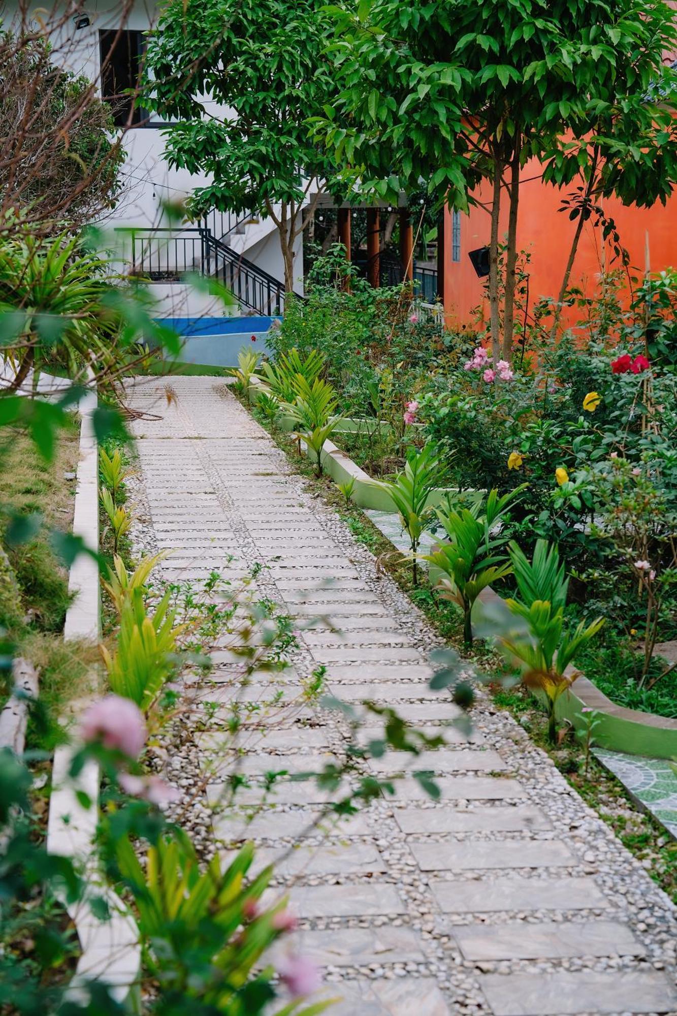 Windy Homestay Cat Ba Island Zewnętrze zdjęcie